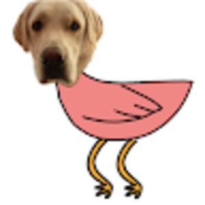 Meet your Posher, Ian